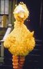 big_bird_narrowweb__200x313.jpg